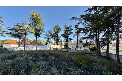 Helårsgrund i Oeiras, Lisbon, Oeiras - € 2.000.000 | Ref: TER_554 - foto 7