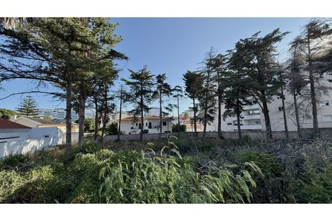 Helårsgrund i Oeiras, Lisbon, Oeiras - € 2.000.000 | Ref: TER_554 - foto 9