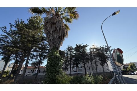 Helårsgrund i Oeiras, Lisbon, Oeiras - € 2.000.000 | Ref: TER_554 - foto 11