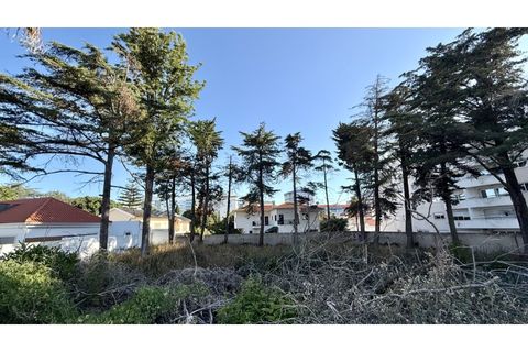 Helårsgrund i Oeiras, Lisbon, Oeiras - € 2.000.000 | Ref: TER_554 - foto 13
