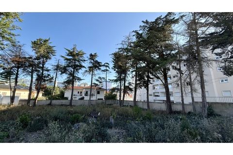 Helårsgrund i Oeiras, Lisbon, Oeiras - € 2.000.000 | Ref: TER_554 - foto 15