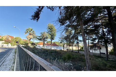 Helårsgrund i Oeiras, Lisbon, Oeiras - € 2.000.000 | Ref: TER_554 - foto 16