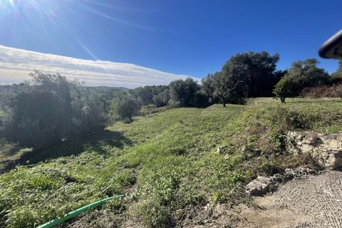 Terra a Mougins, Alpes-Maritimes, Mougins - € 1.490.000 | Ref: 83612362 - foto 9