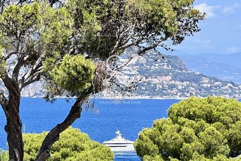 Villa i Saint-Jean-Cap-Ferrat, Alpes-Maritimes, Saint-Jean-Cap-Ferrat - € 15.750.000 | Ref: IC-CG-205-326 - foto 4