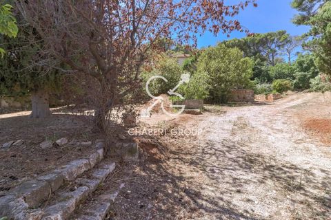 Villa i Saint-Jean-Cap-Ferrat, Alpes-Maritimes, Saint-Jean-Cap-Ferrat - € 15.750.000 | Ref: IC-CG-205-326 - foto 7