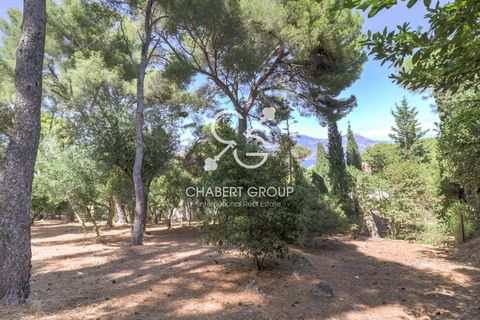 Villa i Saint-Jean-Cap-Ferrat, Alpes-Maritimes, Saint-Jean-Cap-Ferrat - € 15.750.000 | Ref: IC-CG-205-326 - foto 11