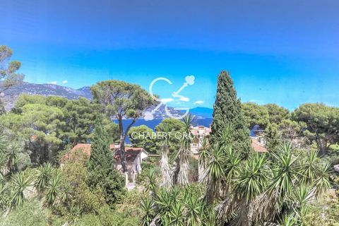 Villa i Saint-Jean-Cap-Ferrat, Alpes-Maritimes, Saint-Jean-Cap-Ferrat - € 15.750.000 | Ref: IC-CG-205-326 - foto 12