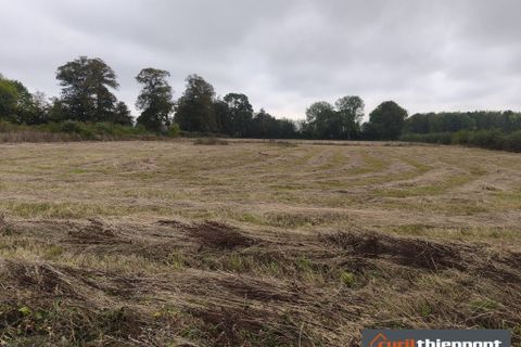 Terra a Saint-Maxent, Somme, Saint-Maxent - € 28.700 | Ref: 1324-THIENPONT - foto 5