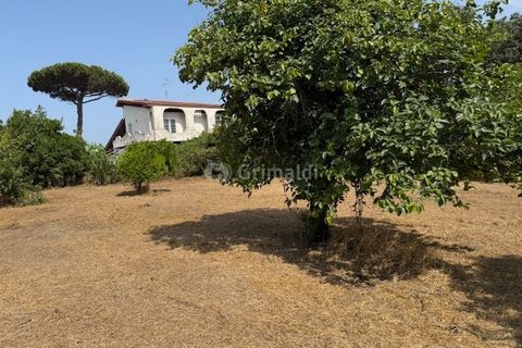 Terra a Nettuno, Rome, Nettuno - € 60.000 | Ref: AB620 - foto 2