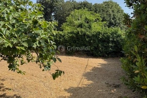 Terra a Nettuno, Rome, Nettuno - € 60.000 | Ref: AB620 - foto 3