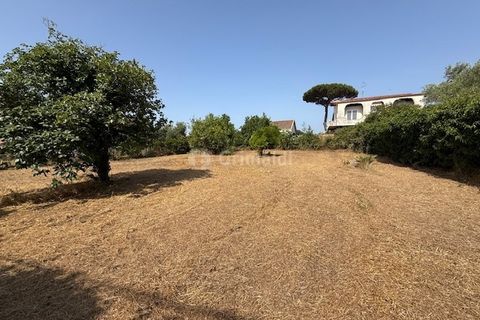 Terra a Nettuno, Rome, Nettuno - € 60.000 | Ref: AB620 - foto 4