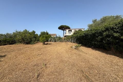 Terra a Nettuno, Rome, Nettuno - € 60.000 | Ref: AB620 - foto 5