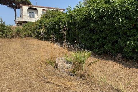 Terra a Nettuno, Rome, Nettuno - € 60.000 | Ref: AB620 - foto 6