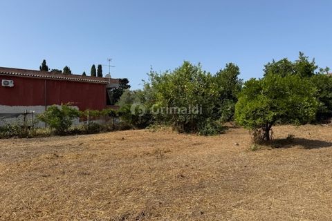 Terra a Nettuno, Rome, Nettuno - € 60.000 | Ref: AB620 - foto 7