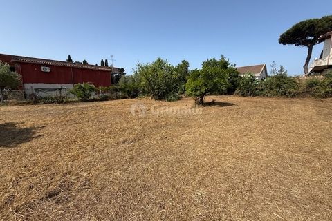 Terra a Nettuno, Rome, Nettuno - € 60.000 | Ref: AB620 - foto 8