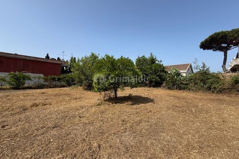 Terra a Nettuno, Rome, Nettuno - € 60.000 | Ref: AB620 - foto 9