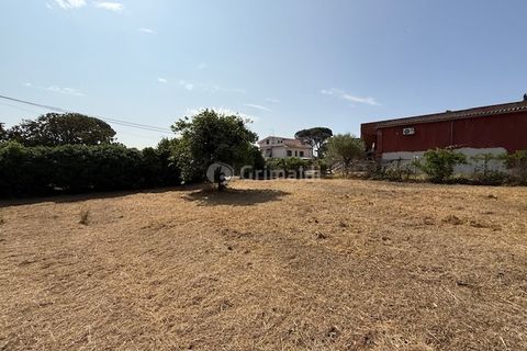 Terra a Nettuno, Rome, Nettuno - € 60.000 | Ref: AB620 - foto 10