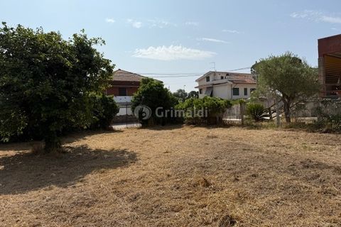 Terra a Nettuno, Rome, Nettuno - € 60.000 | Ref: AB620 - foto 11