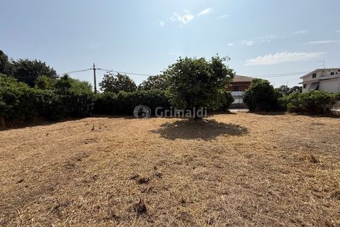 Terra a Nettuno, Rome, Nettuno - € 60.000 | Ref: AB620 - foto 12