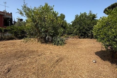 Terra a Nettuno, Rome, Nettuno - € 60.000 | Ref: AB620 - foto 13