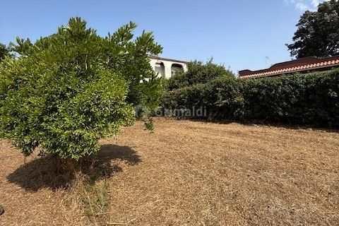 Terra a Nettuno, Rome, Nettuno - € 60.000 | Ref: AB620 - foto 14