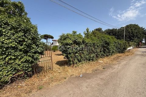 Terra a Nettuno, Rome, Nettuno - € 60.000 | Ref: AB620 - foto 16