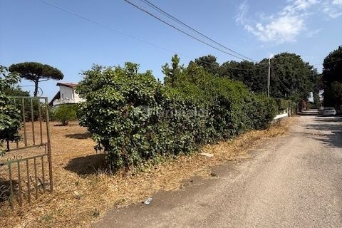 Terra a Nettuno, Rome, Nettuno - € 60.000 | Ref: AB620 - foto 17