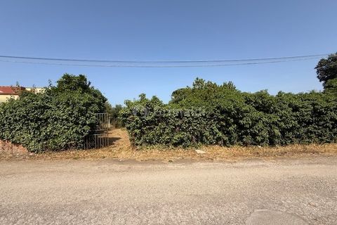 Terra a Nettuno, Rome, Nettuno - € 60.000 | Ref: AB620 - foto 18