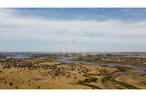 Landejendom i Ourique, Beja, Ourique - € 2.450.000 | Ref: PT03Q-0574 - foto 20