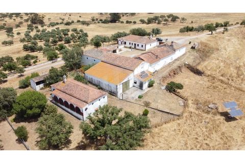 Landejendom i Ourique, Beja, Ourique - € 2.450.000 | Ref: PT03Q-0574 - foto 2