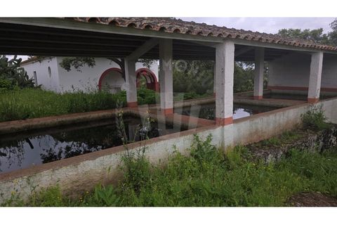 Landejendom i Ourique, Beja, Ourique - € 2.450.000 | Ref: PT03Q-0574 - foto 9