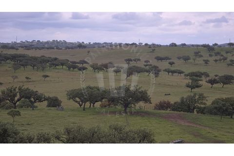 Landejendom i Ourique, Beja, Ourique - € 2.450.000 | Ref: PT03Q-0574 - foto 28