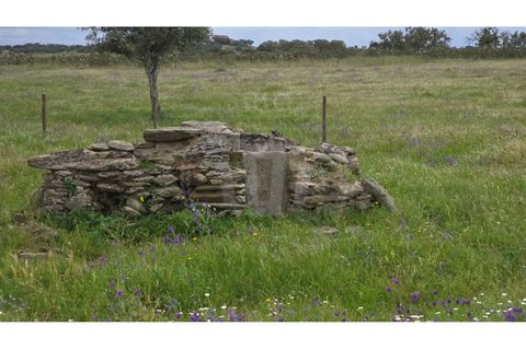 Landejendom i Ourique, Beja, Ourique - € 2.450.000 | Ref: PT03Q-0574 - foto 26