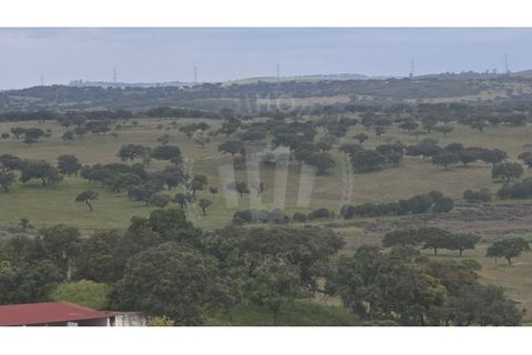 Landejendom i Ourique, Beja, Ourique - € 2.450.000 | Ref: PT03Q-0574 - foto 30