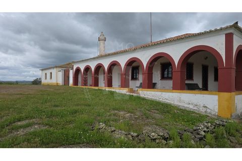 Landejendom i Ourique, Beja, Ourique - € 2.450.000 | Ref: PT03Q-0574 - foto 12