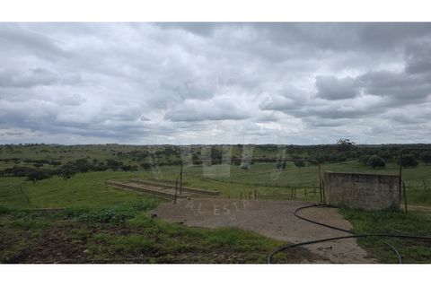 Landejendom i Ourique, Beja, Ourique - € 2.450.000 | Ref: PT03Q-0574 - foto 35