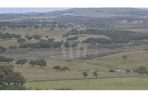 Landejendom i Ourique, Beja, Ourique - € 2.450.000 | Ref: PT03Q-0574 - foto 36