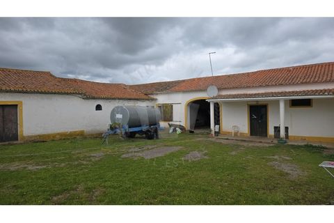Landejendom i Ourique, Beja, Ourique - € 2.450.000 | Ref: PT03Q-0574 - foto 5