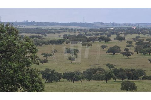Landejendom i Ourique, Beja, Ourique - € 2.450.000 | Ref: PT03Q-0574 - foto 39