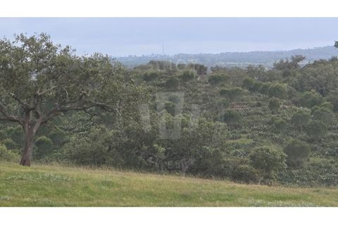 Landejendom i Ourique, Beja, Ourique - € 2.450.000 | Ref: PT03Q-0574 - foto 40