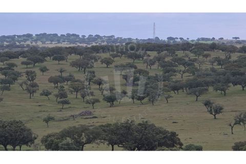 Landejendom i Ourique, Beja, Ourique - € 2.450.000 | Ref: PT03Q-0574 - foto 41