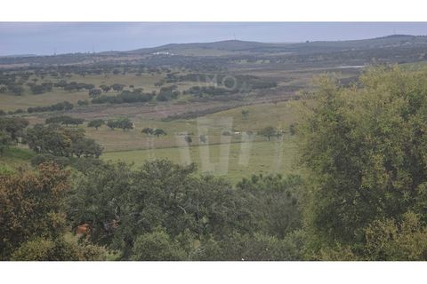 Landejendom i Ourique, Beja, Ourique - € 2.450.000 | Ref: PT03Q-0574 - foto 42