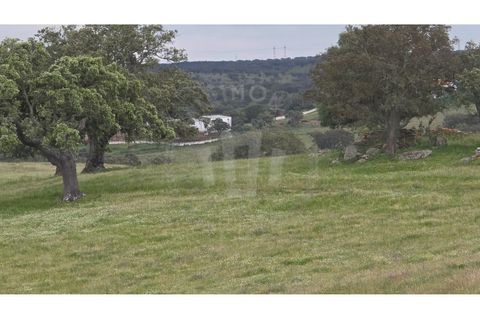 Landejendom i Ourique, Beja, Ourique - € 2.450.000 | Ref: PT03Q-0574 - foto 43