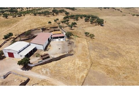 Landejendom i Ourique, Beja, Ourique - € 2.450.000 | Ref: PT03Q-0574 - foto 4