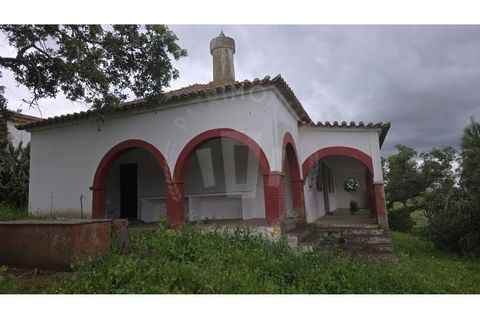 Landejendom i Ourique, Beja, Ourique - € 2.450.000 | Ref: PT03Q-0574 - foto 11