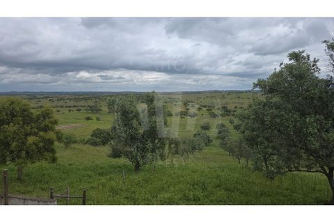 Landejendom i Ourique, Beja, Ourique - € 2.450.000 | Ref: PT03Q-0574 - foto 45