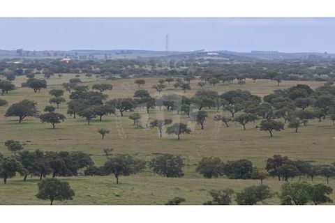Landejendom i Ourique, Beja, Ourique - € 2.450.000 | Ref: PT03Q-0574 - foto 47