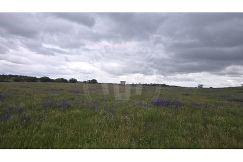Landejendom i Ourique, Beja, Ourique - € 2.450.000 | Ref: PT03Q-0574 - foto 49