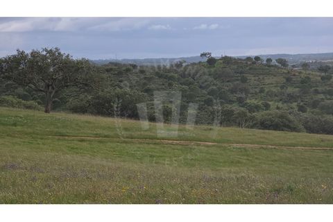 Landejendom i Ourique, Beja, Ourique - € 2.450.000 | Ref: PT03Q-0574 - foto 50