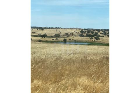 Landejendom i Ourique, Beja, Ourique - € 2.450.000 | Ref: PT03Q-0574 - foto 22